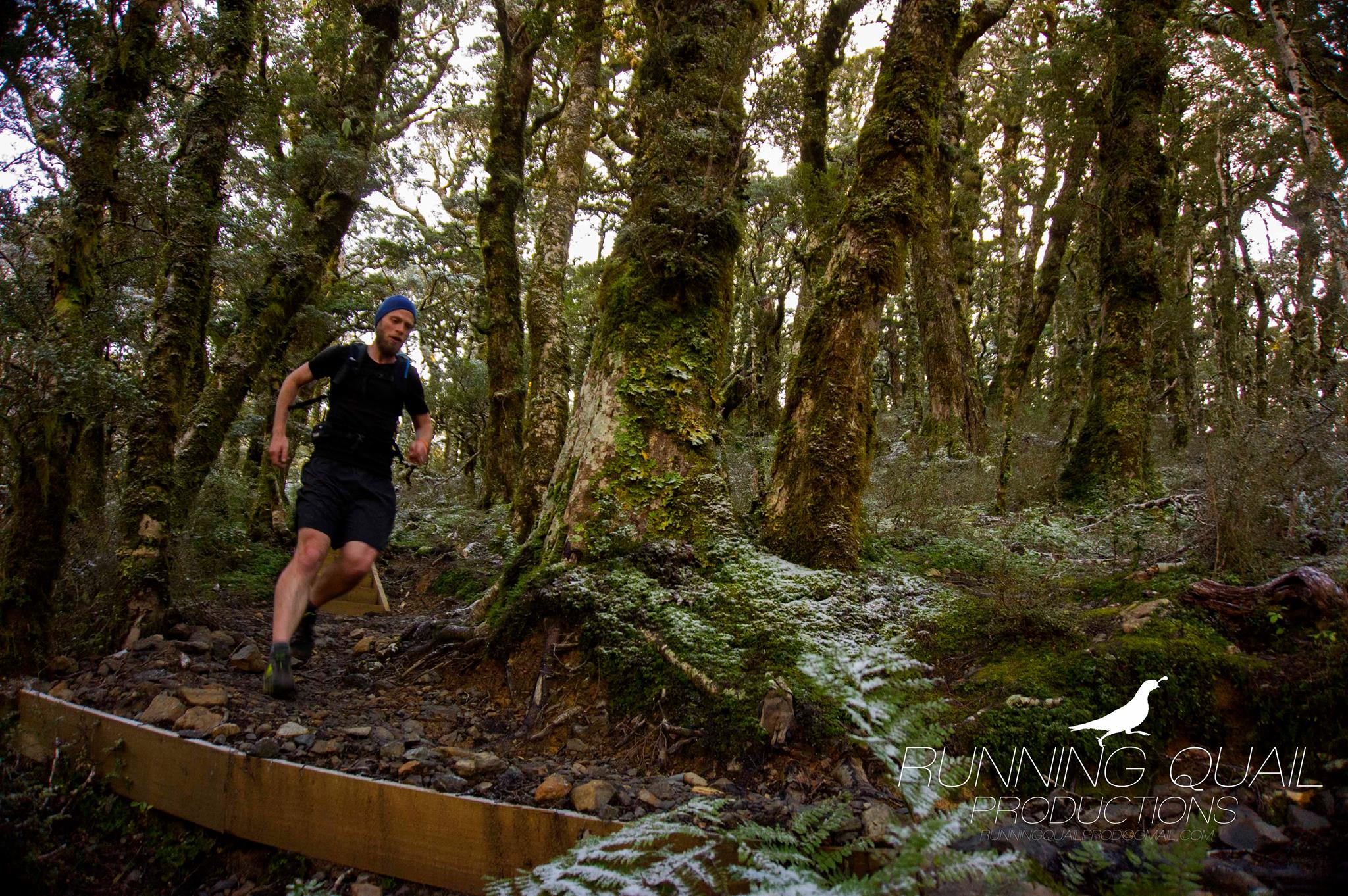 Jumbo-Holdsworth Trail Race Preview